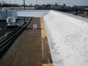 Bi Lo Fort O Commercial Roofing Project 